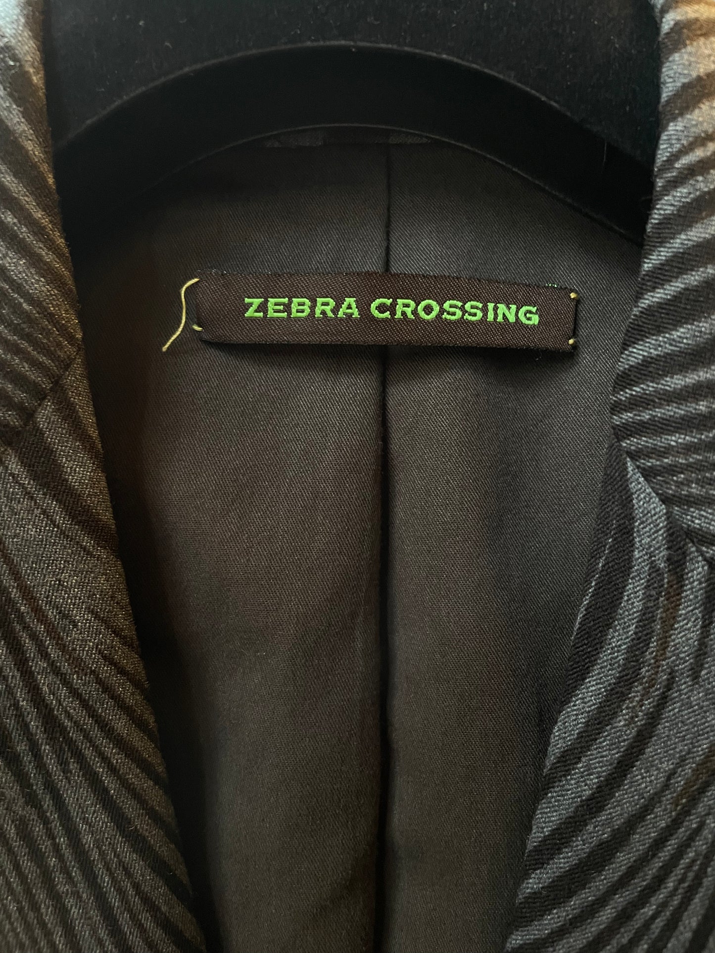 Etro 2000'S psychedelic zebra suit