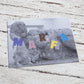 MARFA N°19