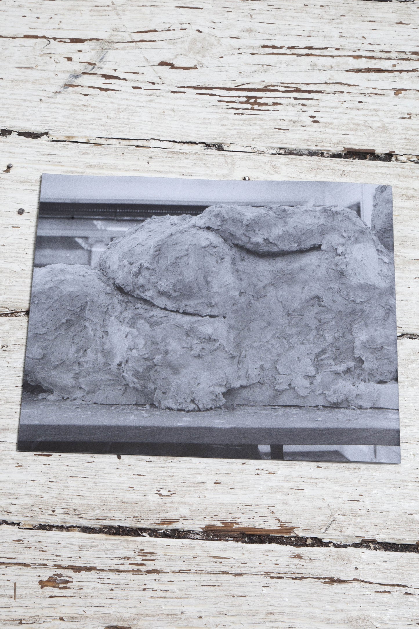 MARFA N°19